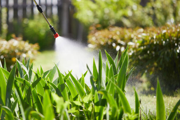 24/7 Emergency Rodent Control experts in Ho-Ho-Kus, NJ