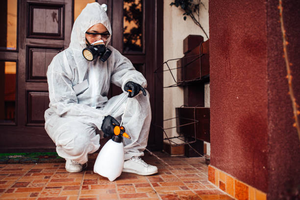 Reliable Rodent Control contractor in Ho-Ho-Kus, NJ by Nex Pest Control