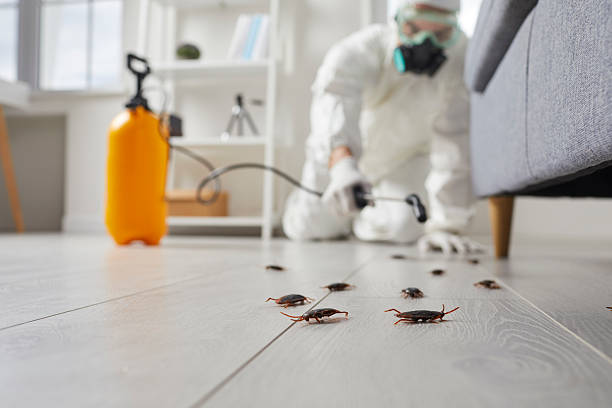 Trusted Rodent Control service in Ho-Ho-Kus, NJ - Nex Pest Control