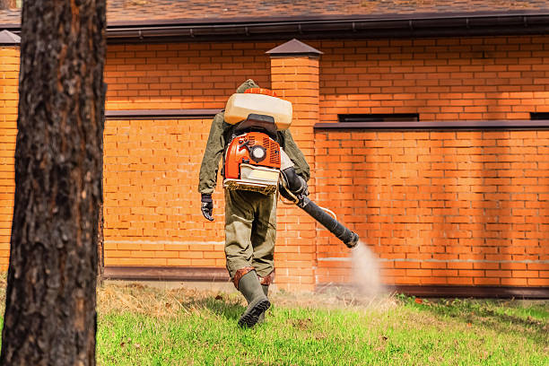 Trusted Emergency Pest Control service in Ho-Ho-Kus, NJ - Nex Pest Control